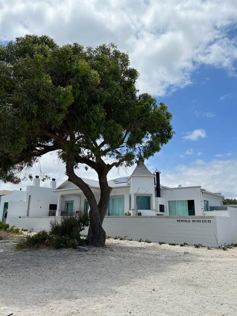 Das Haus hinter einem grossen Baum am Strand