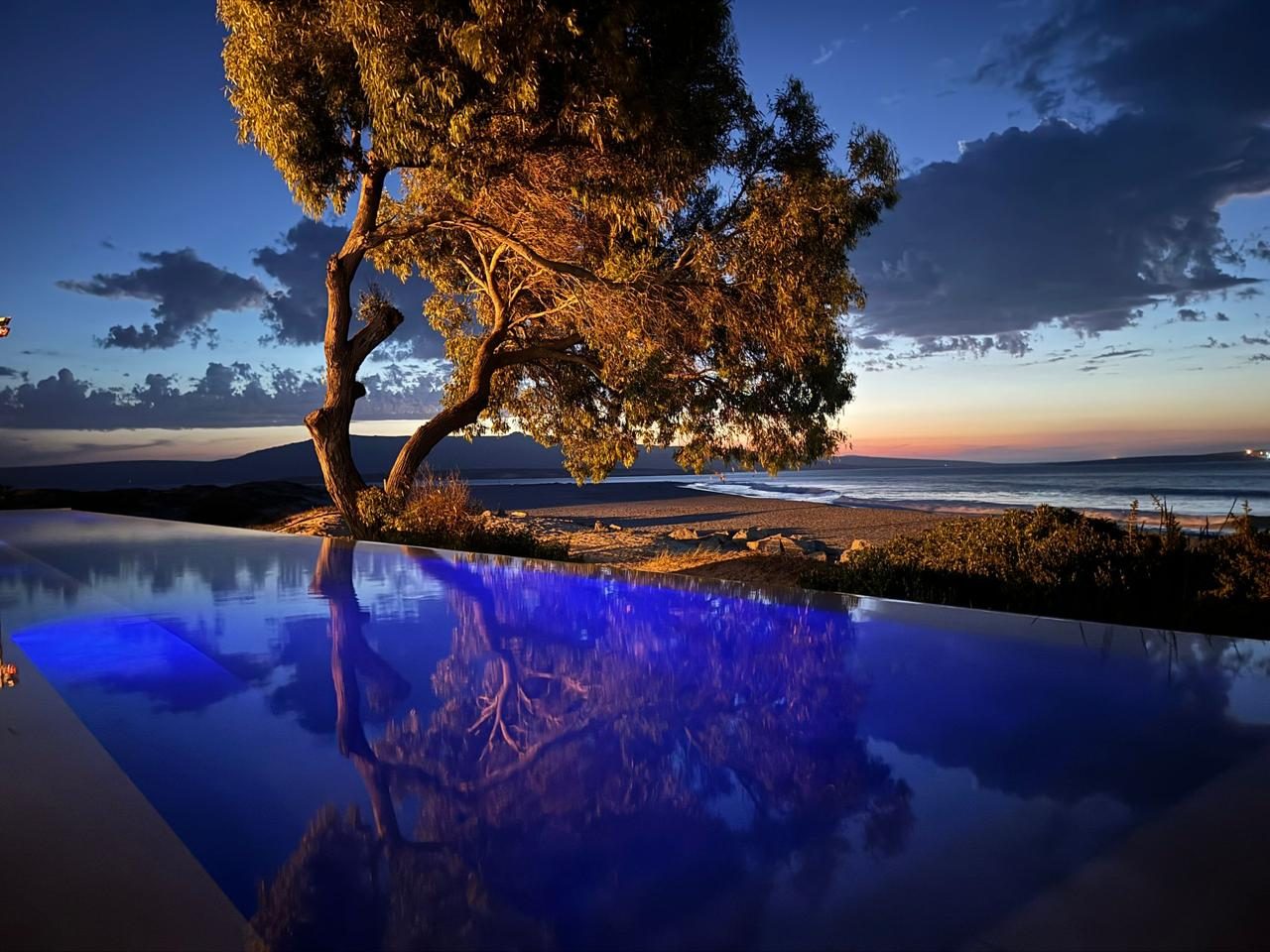 Beleuchteter Pool am Abend mit angestrahltem Baum